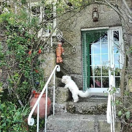 Bed & Breakfast Quinta De Ribas Amarante
